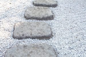 the path - stumbling blocks or stepping stones